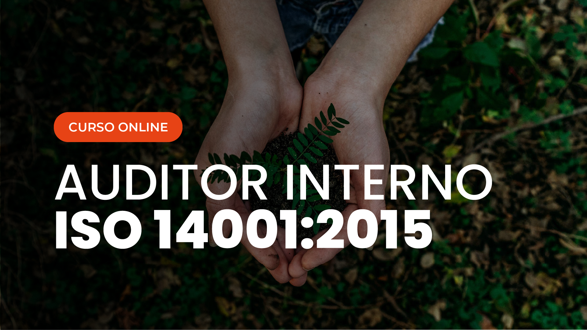 Curso Online de Auditor Interno ISO 14001 Sistema de Gestão Ambiental